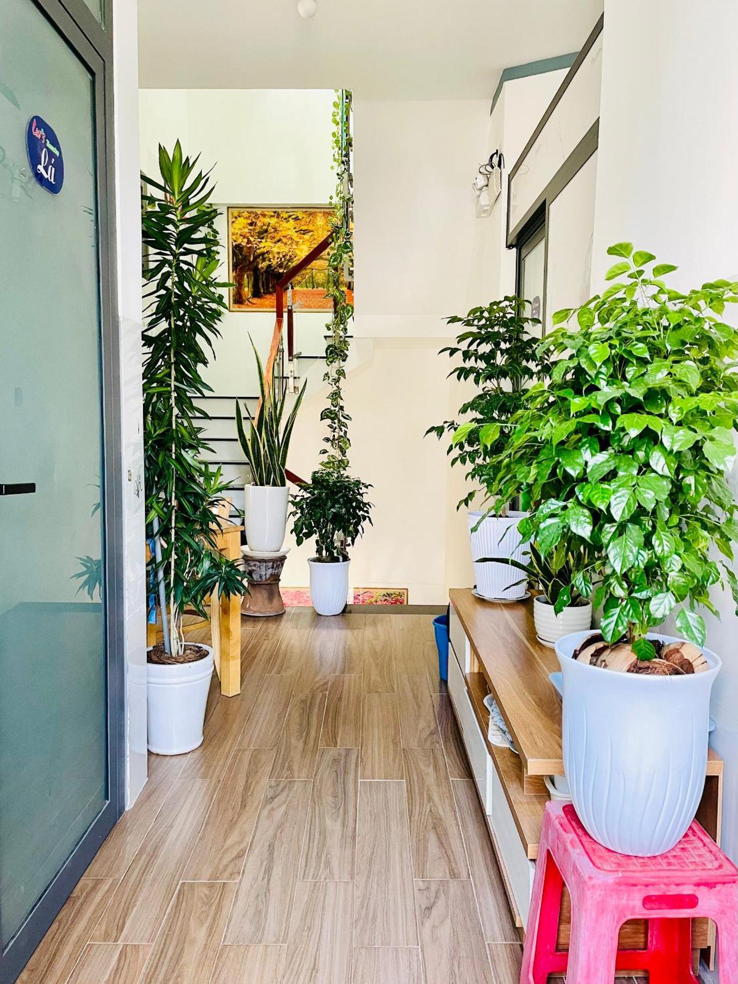Leo'S Homestay Phan Rang Exterior foto